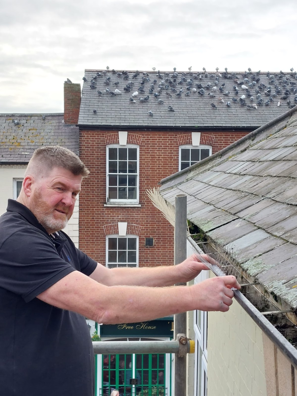 County Pest Control fitting bird proofing spikes on a roof in Market Harborough